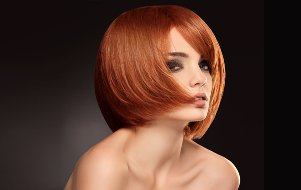 Colore, Taglio e Piega New Style Portogruaro -50%