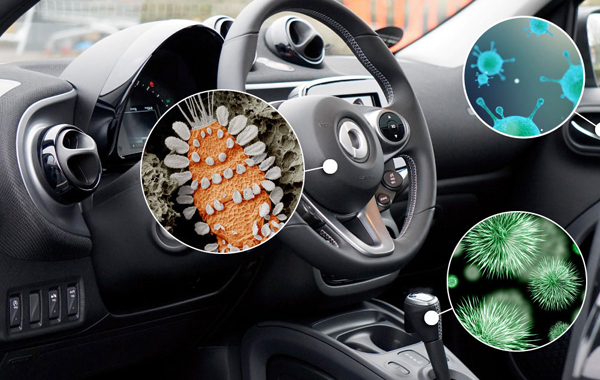 Igienizzazione e Pulizia Auto Interna Carrozzeria Pozzebon Tavagnacco -56%